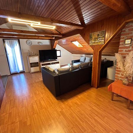 Apartment Milena Brtonigla Kültér fotó